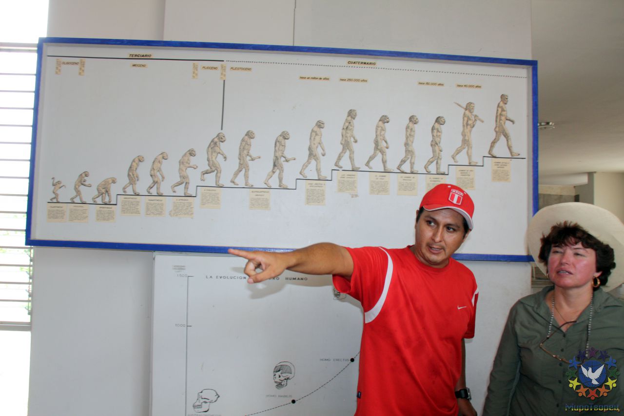 Наши гиды, видимо, показывают на следующую ступень эволюции человека - Перу, февраль 2012, г.Лима