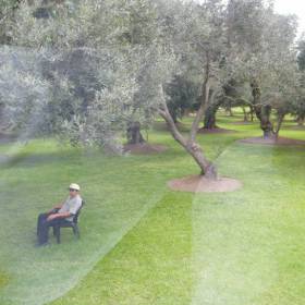 Парк оливковых деревьев - Чехомова Надежда, «Начало путешествия в Перу»