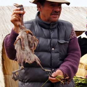 Рассказ о том, как хранят продукты в таком месте, их в основном засушивают (даже картошку) - Перу, февраль 2012, г. Пуно, о.Титикака