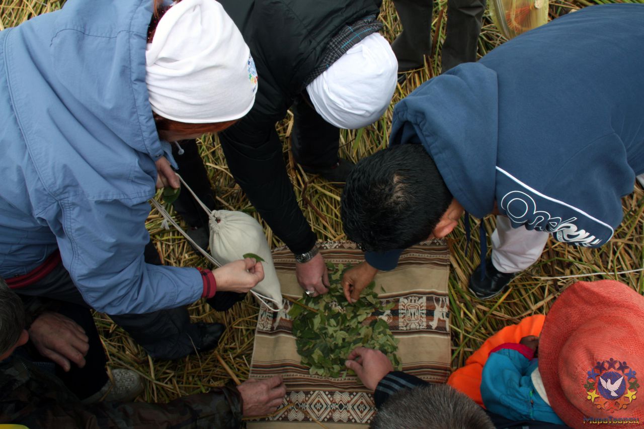 Разбираем листья коки для ритуала - Перу, февраль 2012, г. Пуно, о.Титикака
