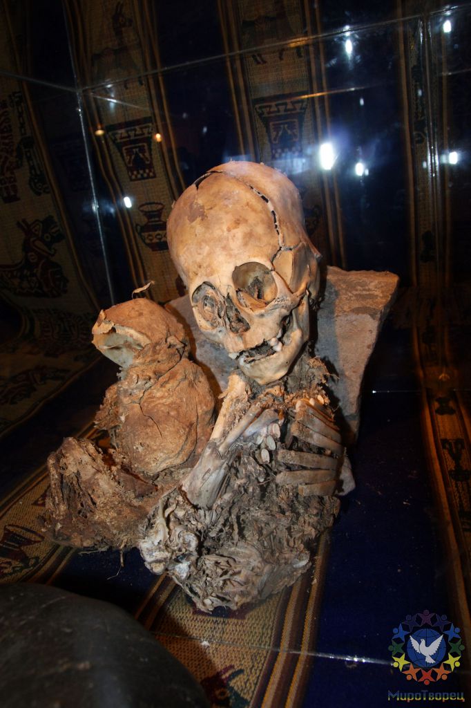 Одна из мумий, высотой 50 см с нечеловеческими характеристиками, имеет вытянутый треугольный череп и большие глазницы. В правой глазнице есть останки глазного яблока.Вторая мумия, длиной всего 30 сантиметров, имеет аналогичные характеристики, но является неполной, поскольку не имеет лица и покрыта тонкой пленкой, похожей на плаценту. Обе мумии находятся в позе эмбрионов. - Перу, февраль 2012, г. Пуно, о.Титикака