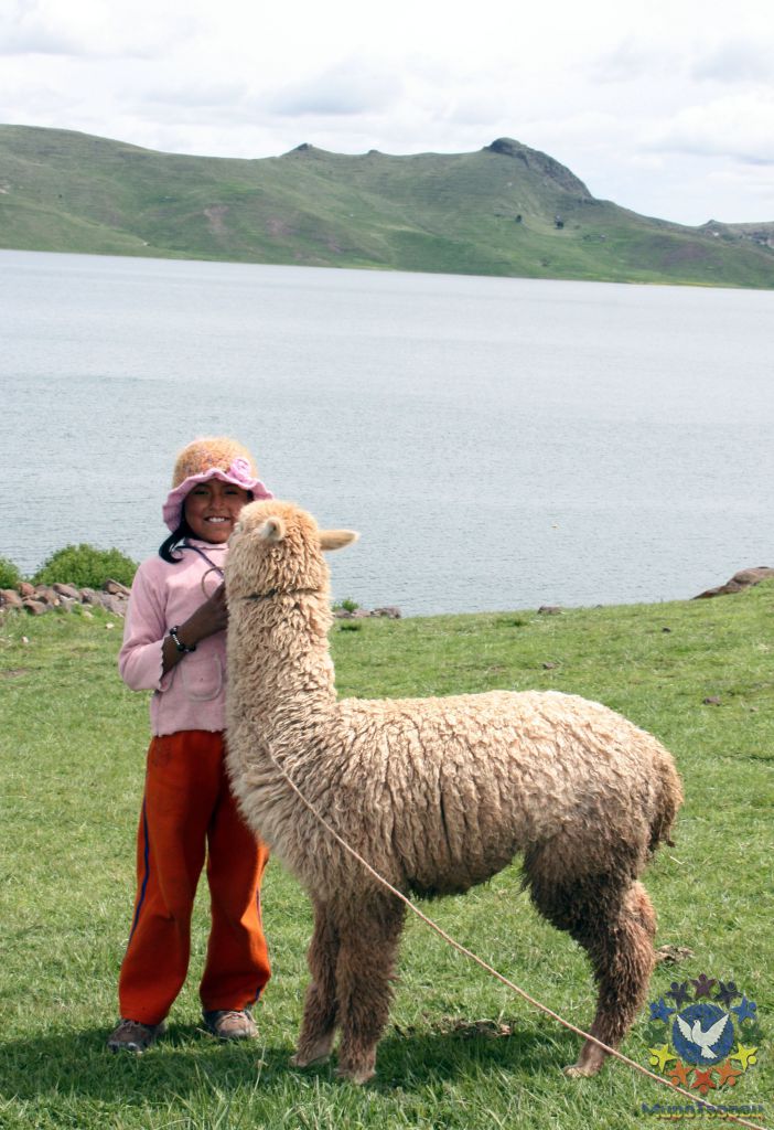 Девочка с альпакой - Перу, февраль 2012, г. Пуно, о.Титикака