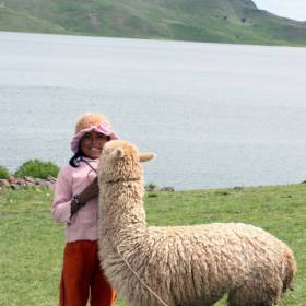 Девочка с альпакой - Перу, февраль 2012, г. Пуно, о.Титикака
