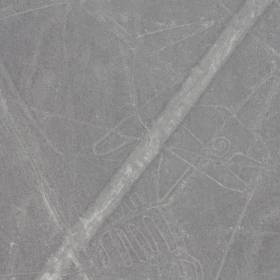Кит <br>линии использовались древними перуанскими астрономами — они были гигантским солнечным и лунным календарем, укрытым в песке, легендах и мифах местных жителей - Перу, февраль 2012, геоглифы Наска