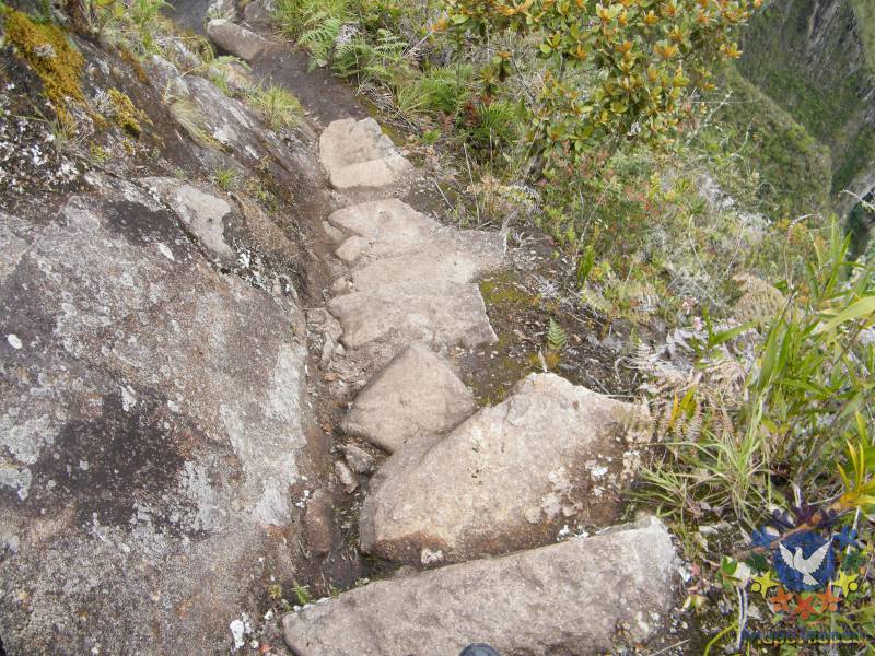 Такие вот ступеньки - Рассказ о путешествии на Мачу-Пикчу, Чехомова Надежда