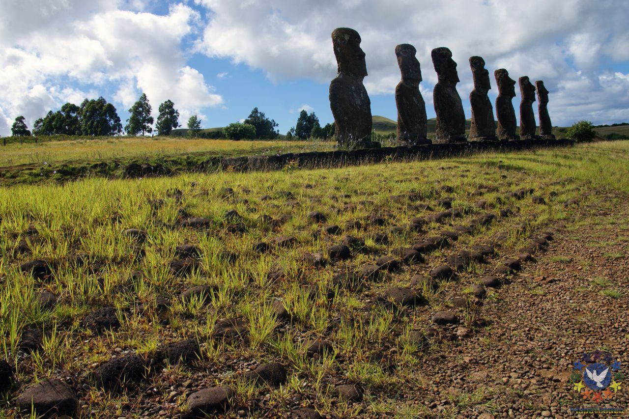 Все моаи на острове, кроме семи статуй, «смотрят» в глубь острова. Эти семь статуй отличаются ещё и тем, что находятся внутри острова, а не на побережье - Чили, февраль 2012г., о.Пасхи
