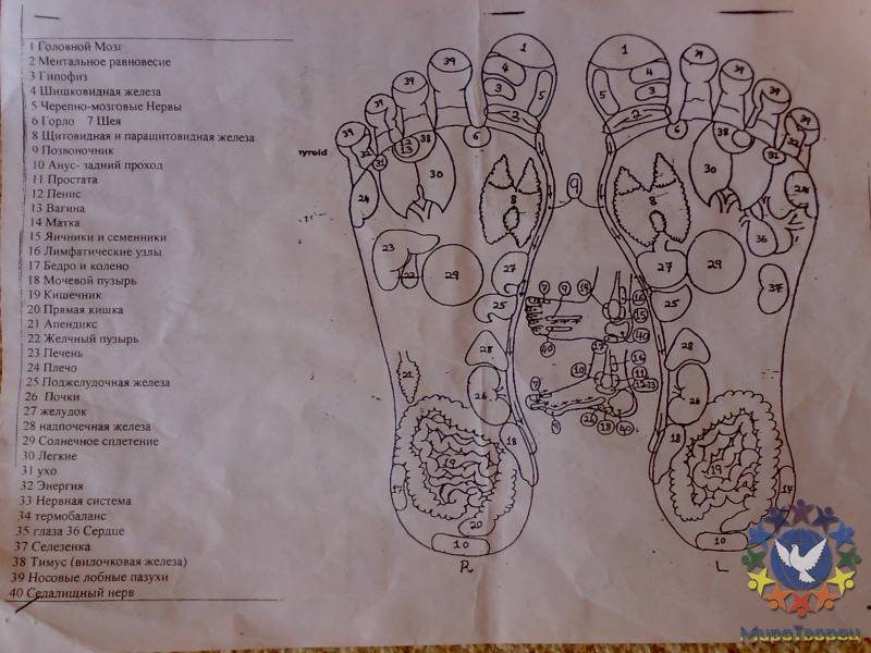 Ступни - Таблица органов на руках и ногах для акупрессуры