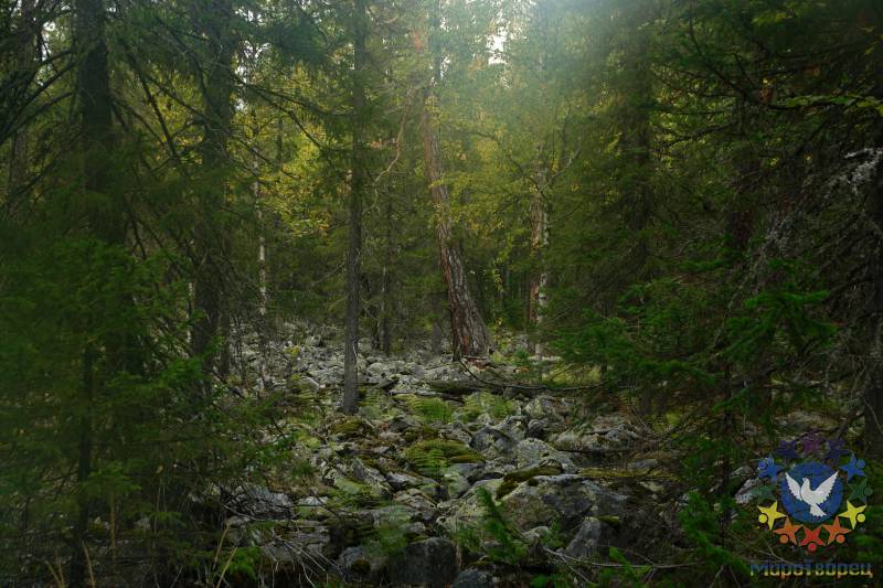 Шишкинский лес - Экспедиция на Ямантау.