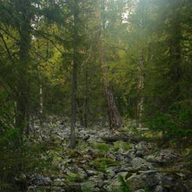 Шишкинский лес - Экспедиция на Ямантау.