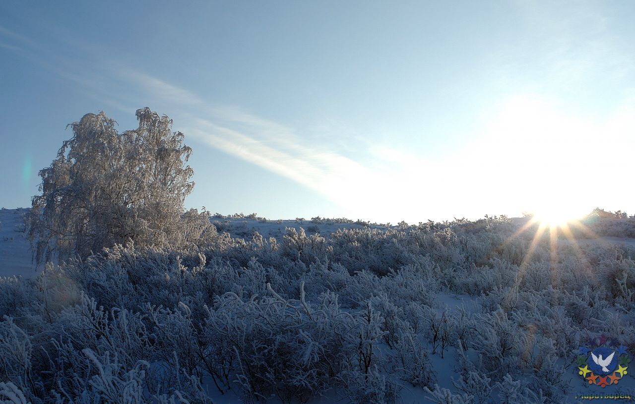 Аркаим Зимой.  Январь 2013