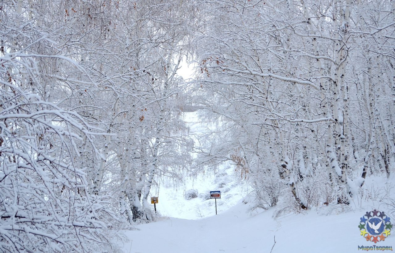 Аркаим Зимой.  Январь 2013