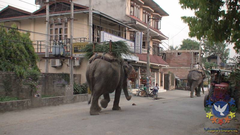 По улицам слона водили,только где моська... - «Everest Base Camp»