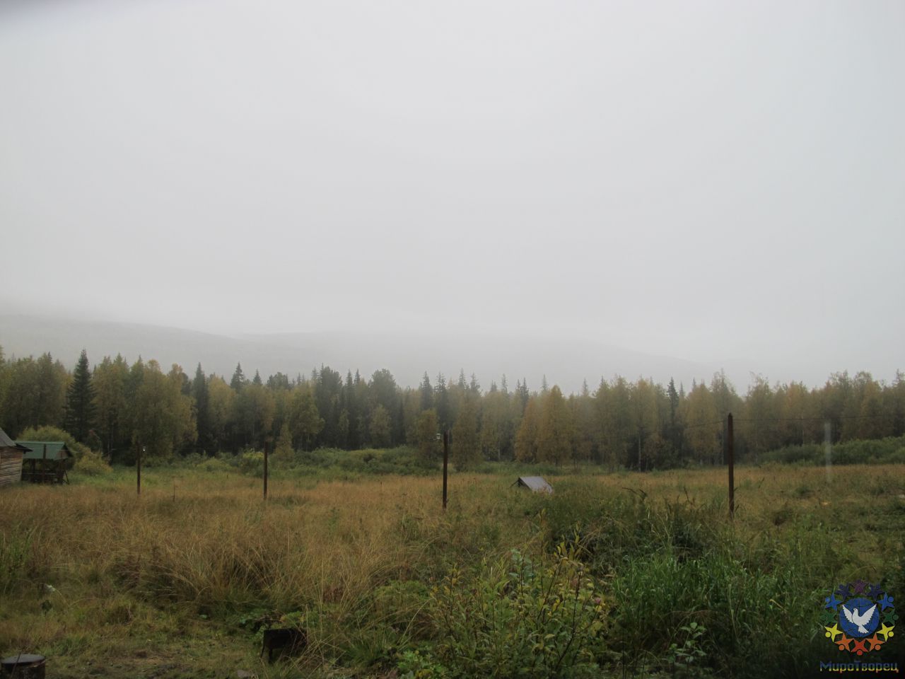 За верхушками деревьев сквозь туман проглядывается хребет, нам туда - Главный Уральский Хребет
