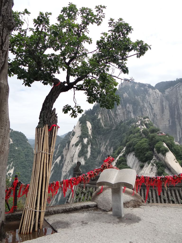 Весьма живописно смотрятся странные сосны на горе Хуаншань. - Китай. Май-июнь 2013. Часть 4. Горы Хуаншань.