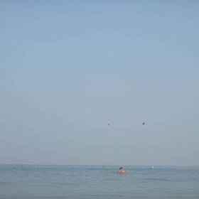 Два дня летали птица - черная и белая - рядом... - Хампи (Виджаянагара) Индия, ноябрь 2013