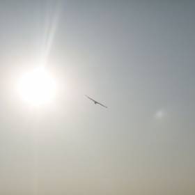 Солнце и крылья... - Хампи (Виджаянагара) Индия, ноябрь 2013