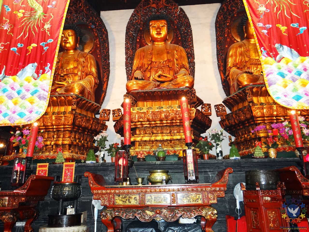 Три Золотых Будды. - Китай. Май-июнь 2013. Часть 5. Шанхай.