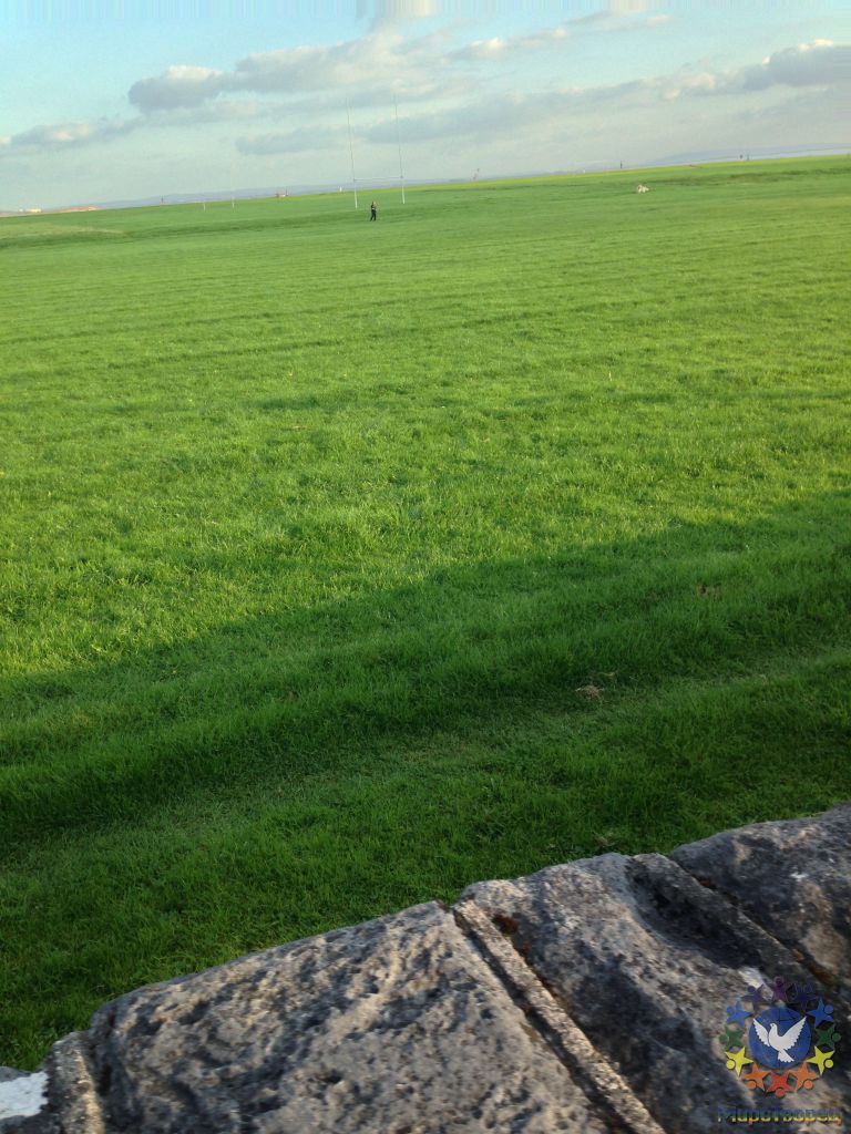 вот такая изумрудная трава у них круглый год - Поездка в Ирландию октябрь 2013