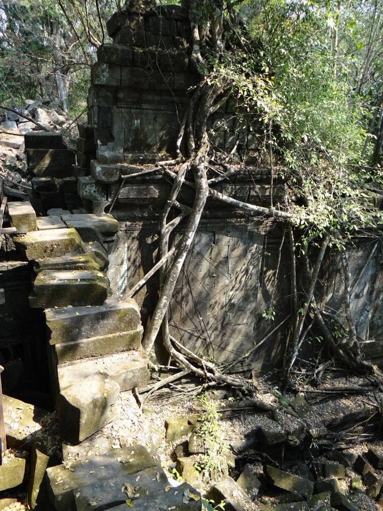 Деревья, корнями оплетающие стены создают удивительные ощущения. - Камбоджа, Лаос. Февраль 2014. Часть 3.
