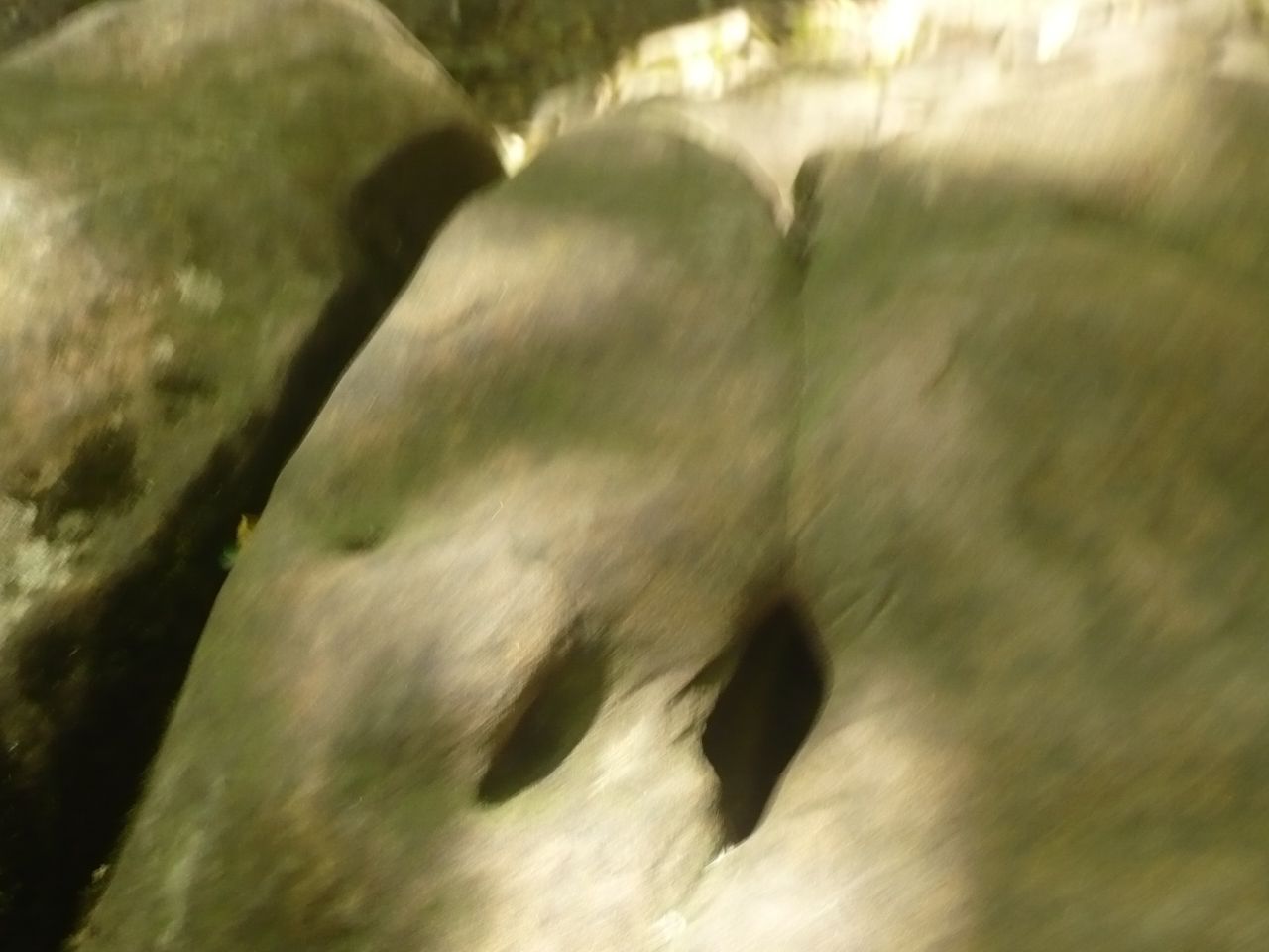 Женский камень - Дольмены реки Жане