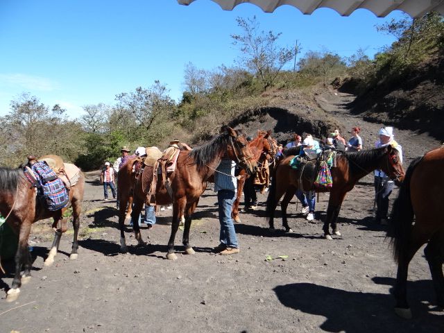 Лошадкам тоже надо отдохнуть - Гватемала 2016. г.Антигуа. Вулкан Пакайя.