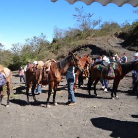 Лошадкам тоже надо отдохнуть - Гватемала 2016. г.Антигуа. Вулкан Пакайя.