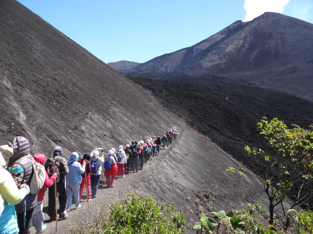 Тропа - Гватемала 2016. г.Антигуа. Вулкан Пакайя.