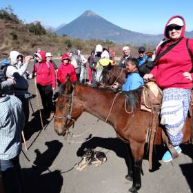 Оседланы лошади - Гватемала 2016. г.Антигуа. Вулкан Пакайя.