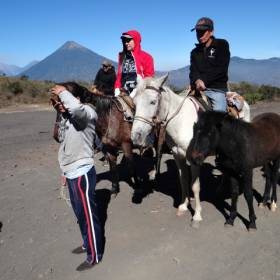 Запасные лошадки еще есть.... какое-то время будут следовать с нами - Гватемала 2016. г.Антигуа. Вулкан Пакайя.