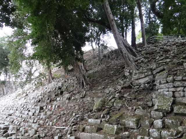 Джунгли захватывают пирамиды. - Гондурас 2016.