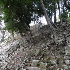 Джунгли захватывают пирамиды. - Гондурас 2016.