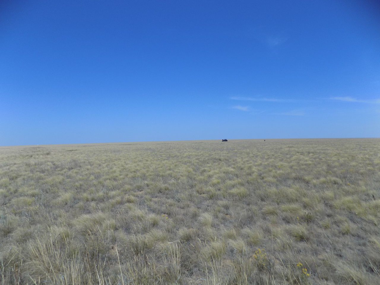 В степи холмы хорошо видно, но за счет огромных размеров геоглифа через фото передать сложно - Геоглифы Казахстана + АркаИм август 2016 год