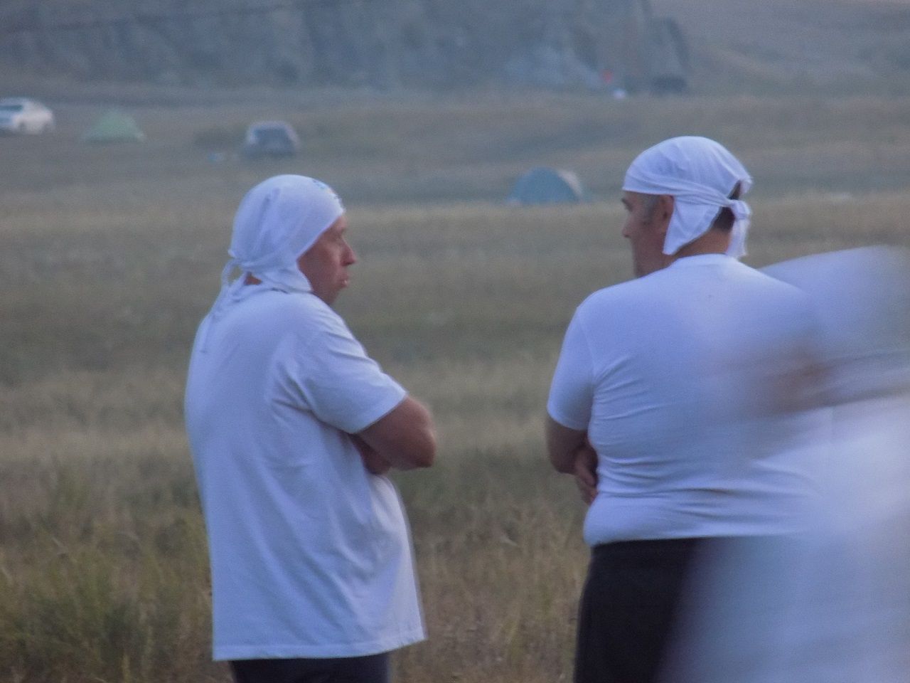 растановка - Геоглифы Казахстана + АркаИм август 2016 год