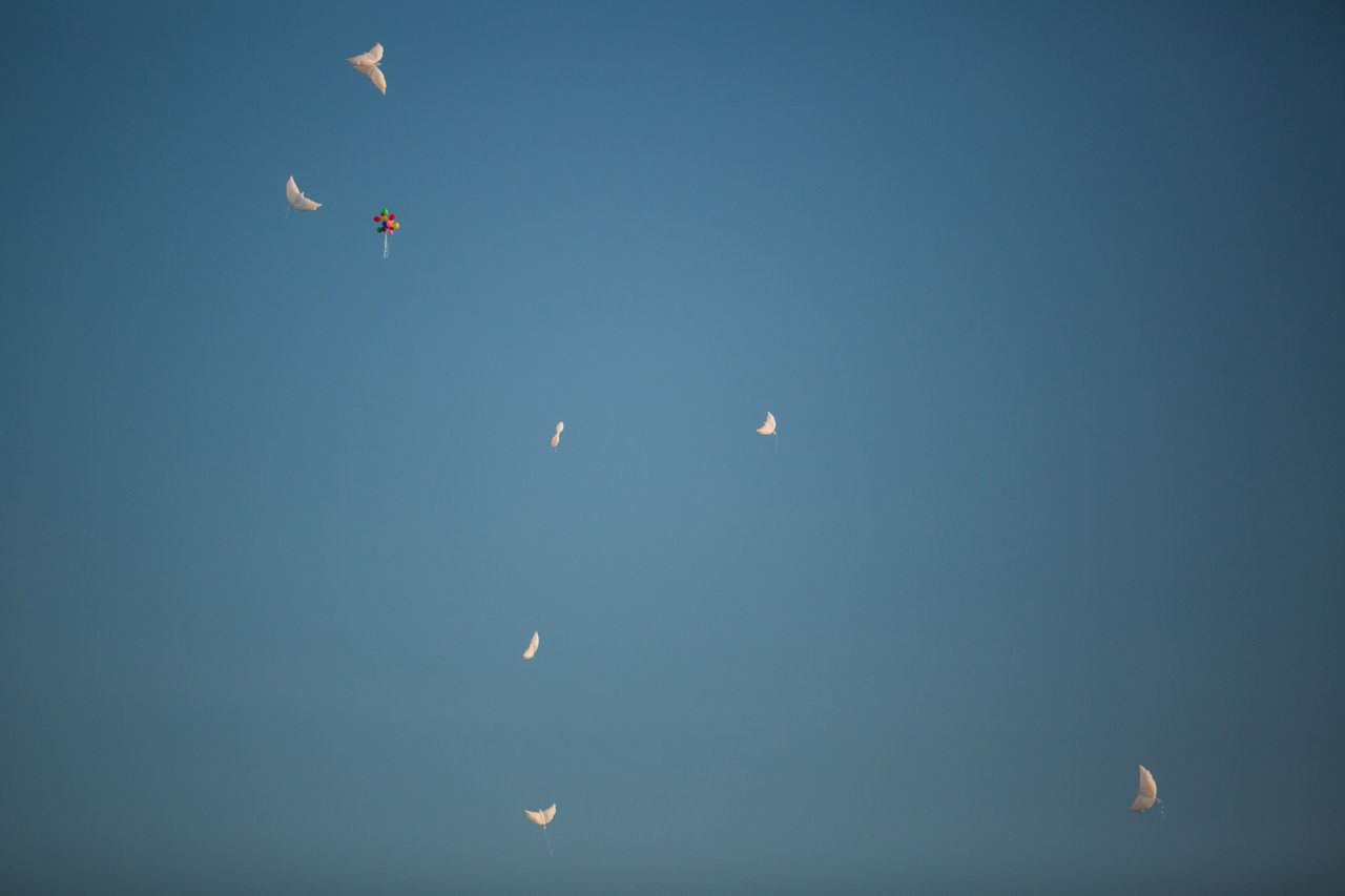 и отпустили в небо белых голубей - ФОТОРЕПОРТАЖ поездки в Аркаим - Август 2016