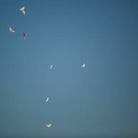 и отпустили в небо белых голубей - ФОТОРЕПОРТАЖ поездки в Аркаим - Август 2016