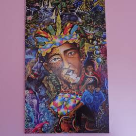 одна из картин Пабло Амаренго на стене в моем бунгало - Айяуаска.