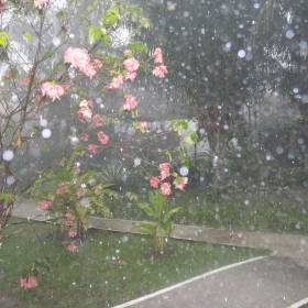 тропический ливень, а как же ведь весна - Айяуаска.