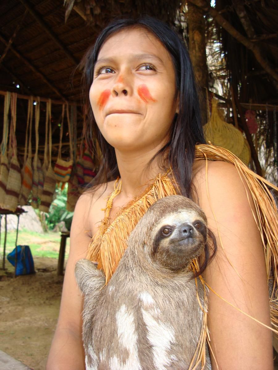 Красавица племени Ягуас, с ленивцем - Вновь Айяуаска