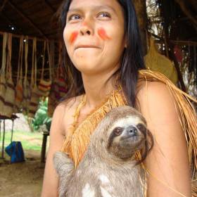 Красавица племени Ягуас, с ленивцем - Вновь Айяуаска