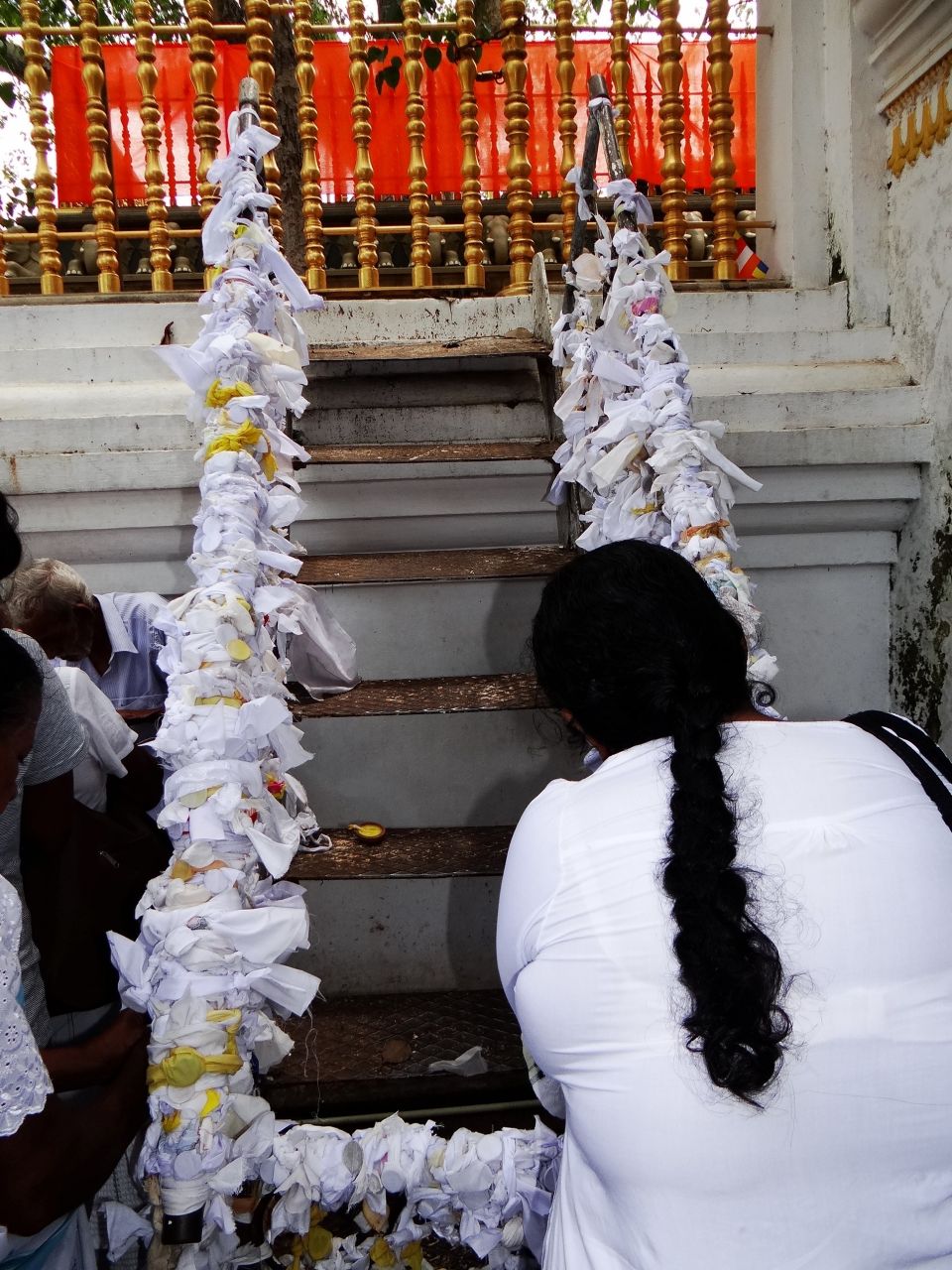 последний Будда нашего времени – индийский принц Сиддхартха Гаутама – именно под родителем этого дерева, достиг пробуждения (в европейских источниках чаше пишут «просветления», но слово «бодхи» означает именно  «пробуждение»). - Шри-Ланка 2017. Часть 2.