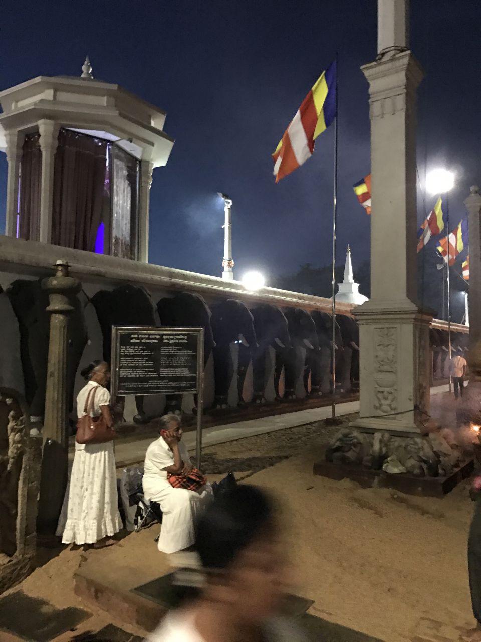 вокруг всего храмвого комплекса барельефы сотен слонов - Шри-Ланка 2017. Часть 2.
