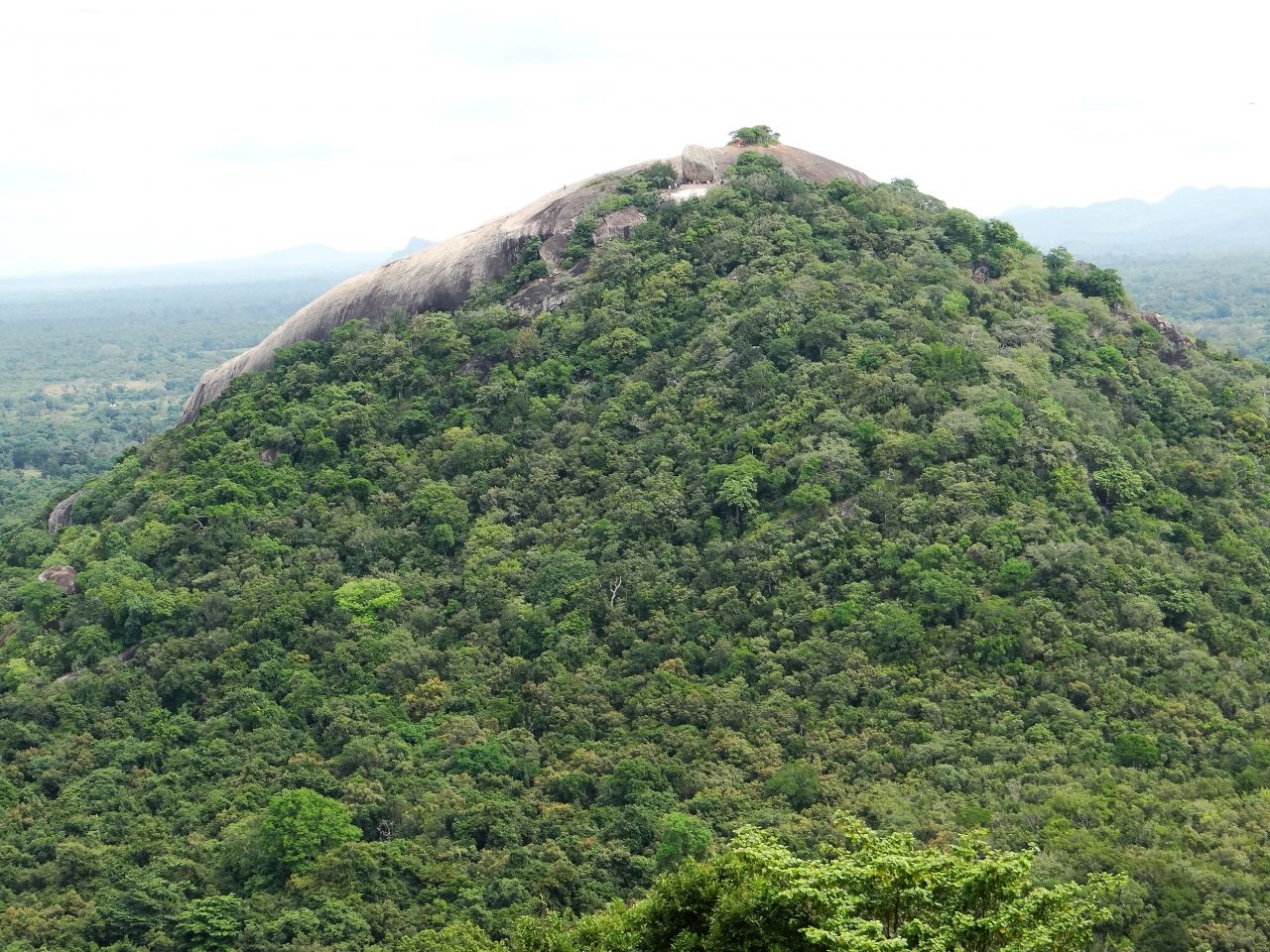 Соседняя гора невероятно притягивает к себе. - Шри-Ланка 2017. Часть 4.