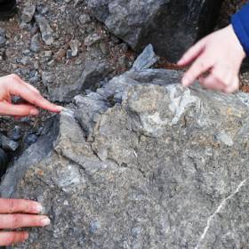 В каменных глыбах отпечатались древние моллюски. - Серебрянский камень 6-9 мая 2017 года.