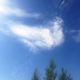 Подъехав к вертолетной площадке, мы увидели в небе наш символ, нашего белого голубя - 8-9 июля группа Миротворцев на Отортене и Яныгхачечахле