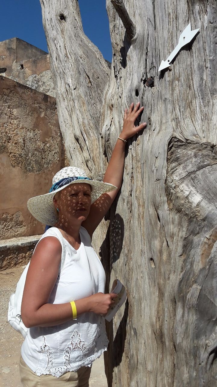 Это дерево невероятного возраста. - Монастыри острова Крит. Греция 2016