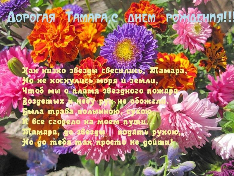 поздравляем Горшкову Тамару Александровну с днём рождения!