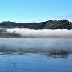 Раннее-раннее утро...озеро Боровое и спустившееся ночью на спящие воды, облако с горы Кокше или с Синюхи. - Burabay.
