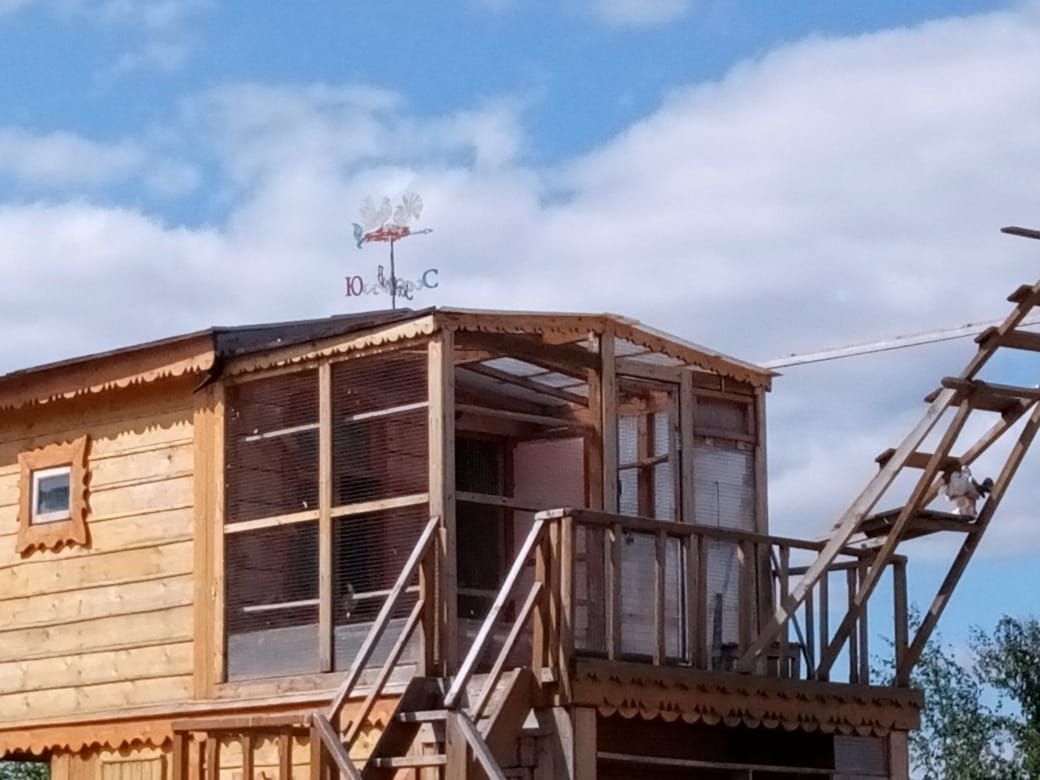 Дом для кудрявых голубей, на крыше указатель по частям света - Свияжск-Екатеринбург. Совместная синхронная работа по активизации зеркала Земли.
