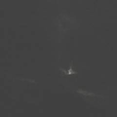 Это единственное фото, которое у нас получилось на ночной охоте. И хотя НЛО, с его проблесковыми огнями, мы все же видели, сфотографировать его нам не удалось.  - 22-23 Сентября 2018 года. Молёбка. Группа Вестники.
