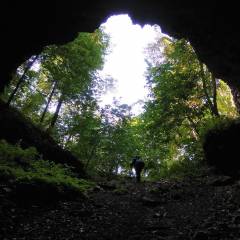 Основной грот. А в какой-то из боковых пещер обитают орлы, потому пещера и получила название - Соколиная. - Башкирия. Вспомним лето...